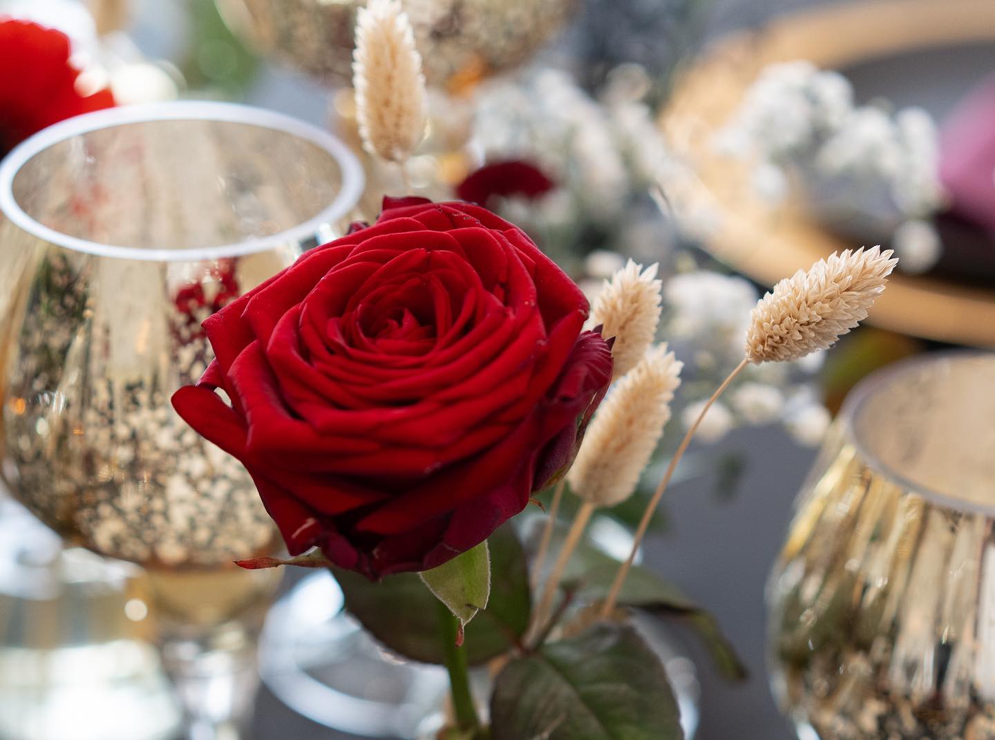 Schnittblumen